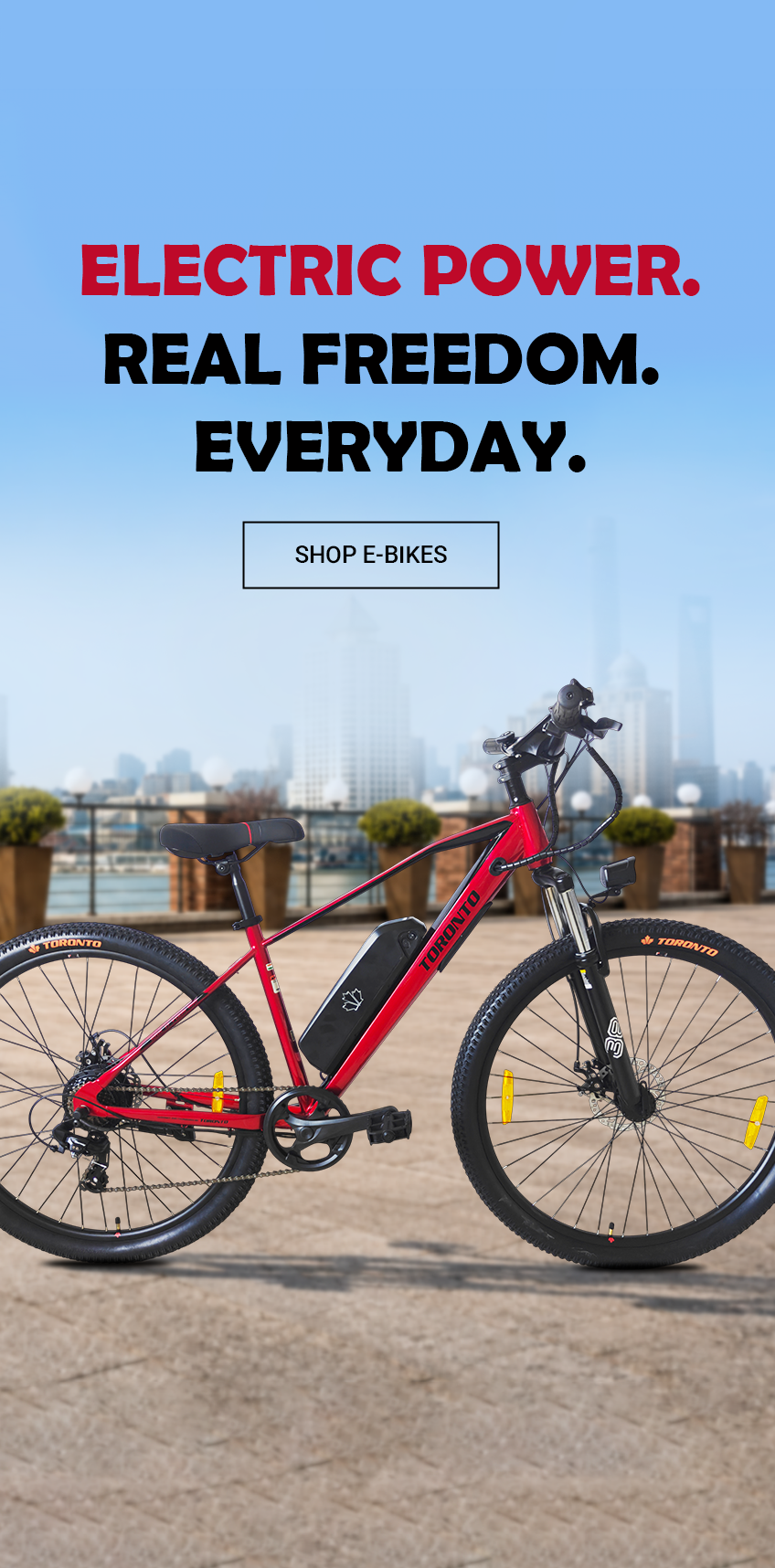 Toronto Bicycle
