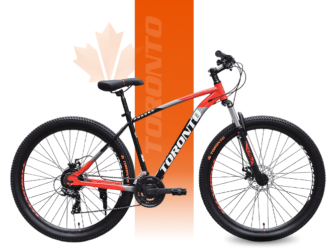 Toronto Bicycle